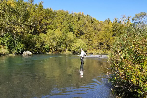 man standing in a river surrounded by trees fishing