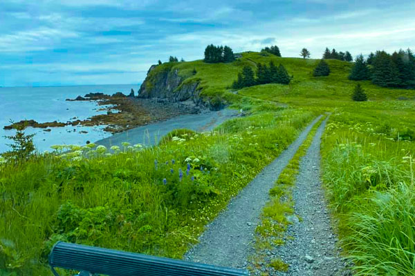 well-worn trail through an Alaskan field next to the water